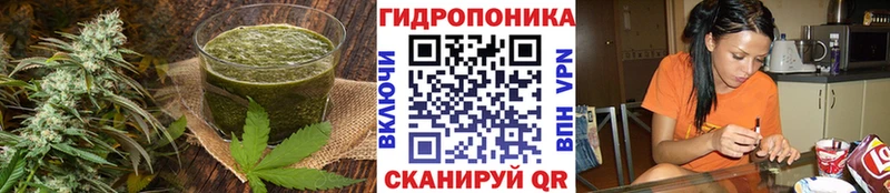 где купить наркоту  Сертолово  Canna-Cookies конопля 