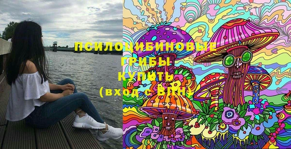 молекула духа Осинники