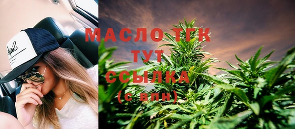 молекула духа Осинники