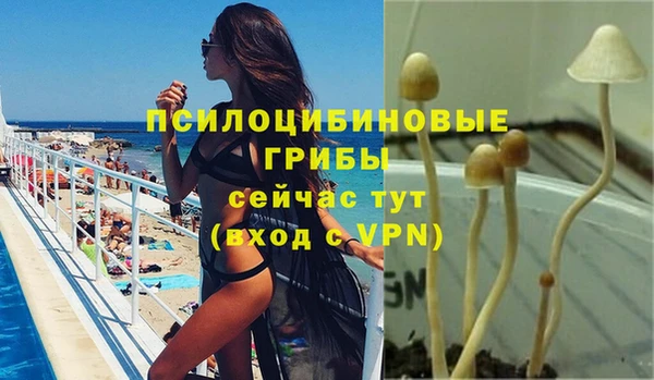 молекула духа Осинники
