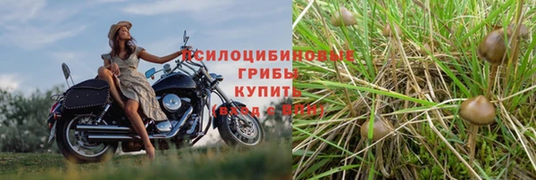 гидропоника Осташков