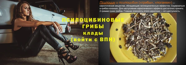 молекула духа Осинники
